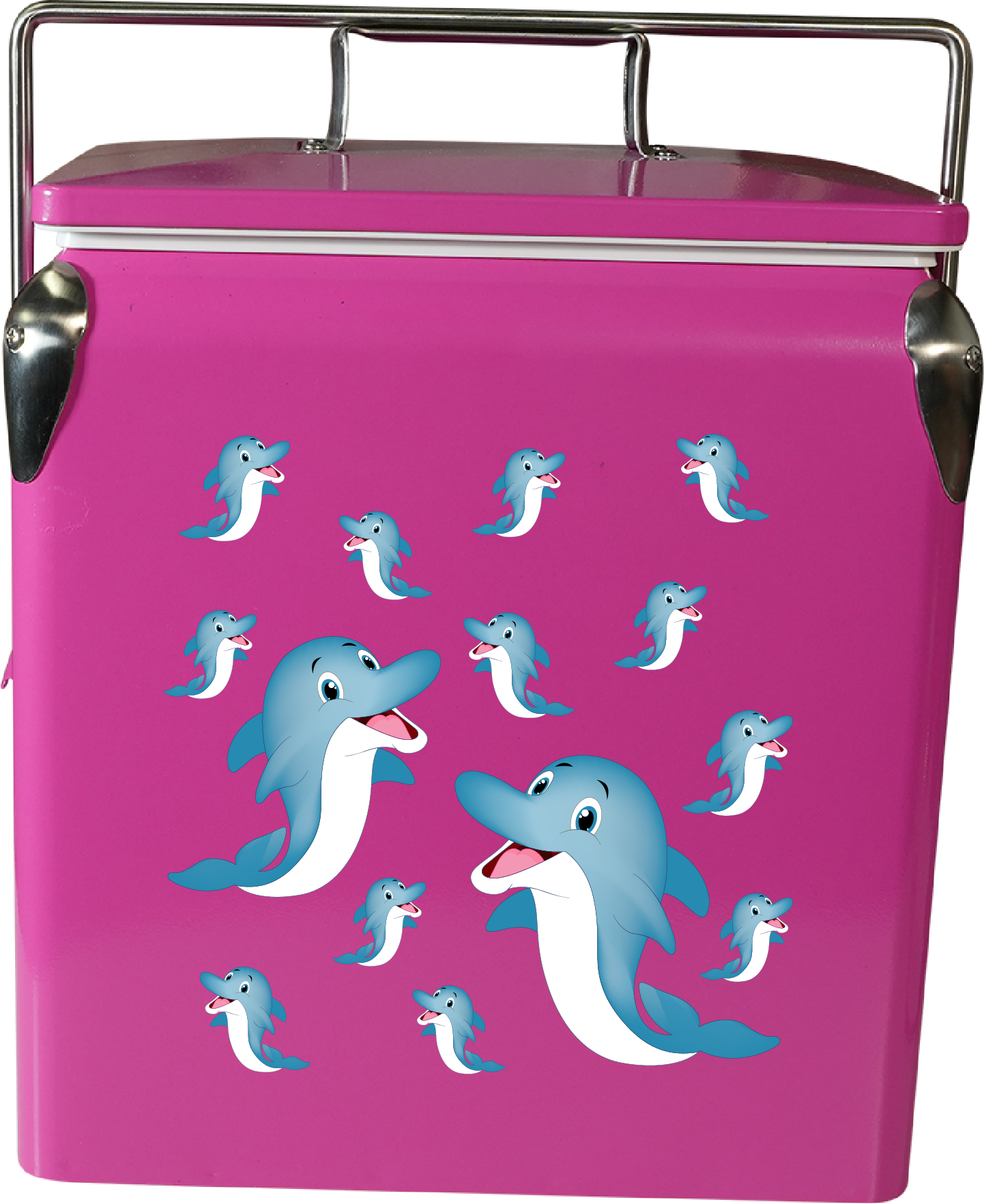Dolphin Cooler Box