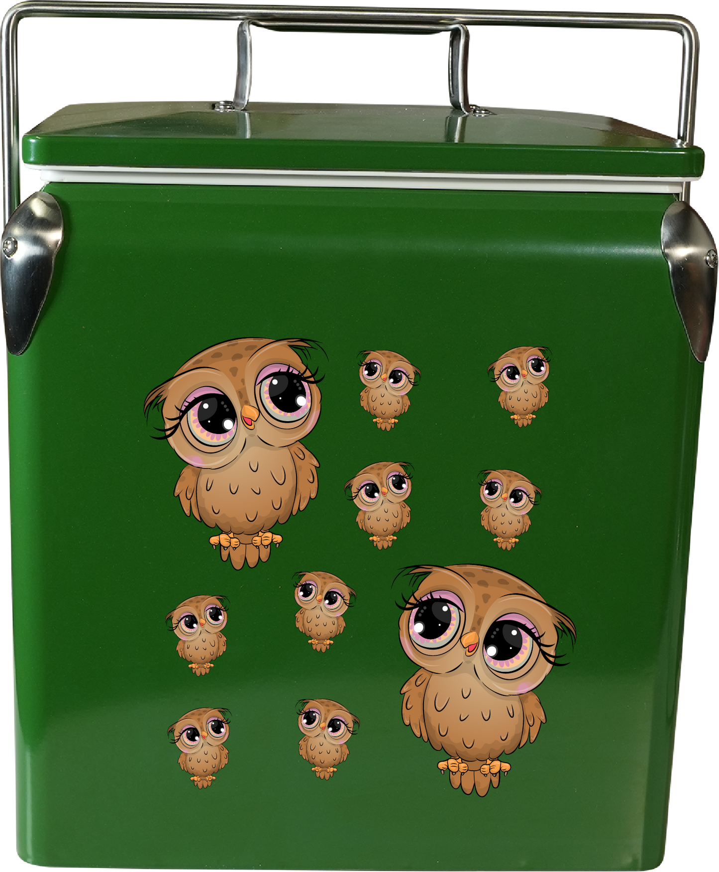 Owl Cooler Box