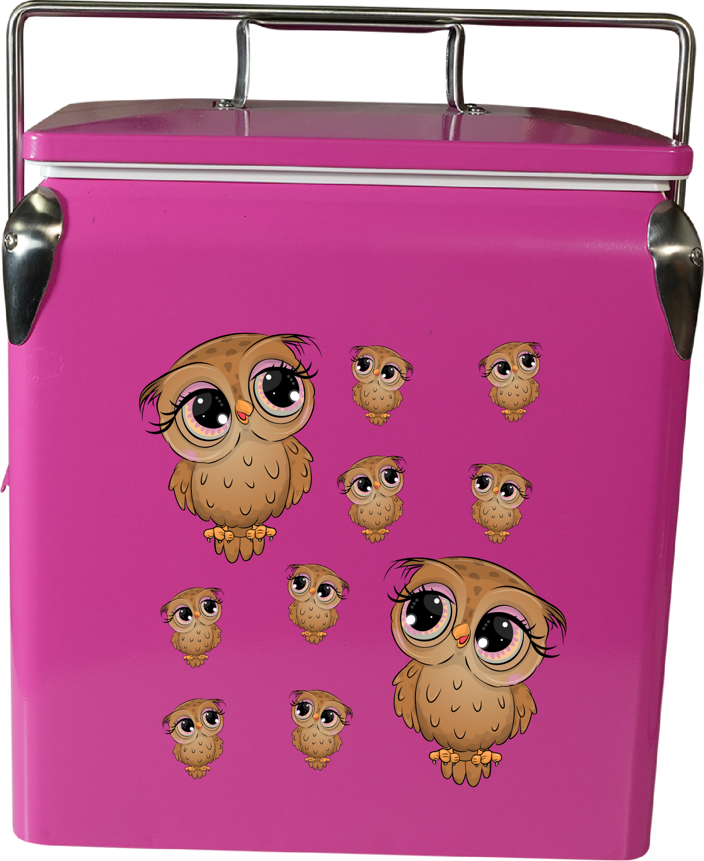 Owl Cooler Box