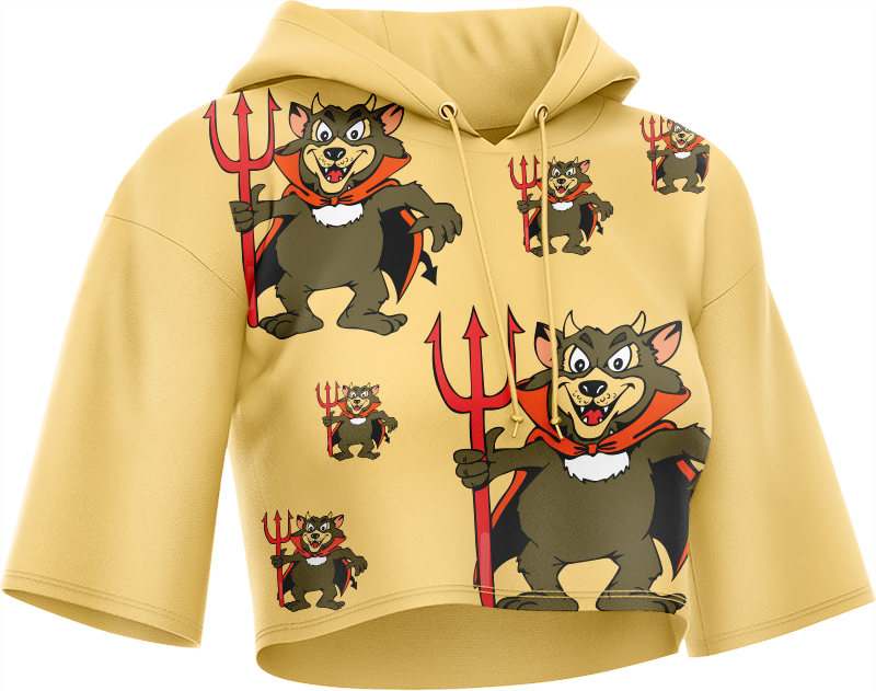 Devil Wears Crop hoodies