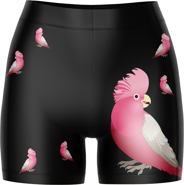 Ladies 2025 gym shorts
