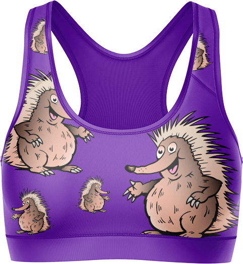 Spunky Echidna Crop Top - fungear.com.au