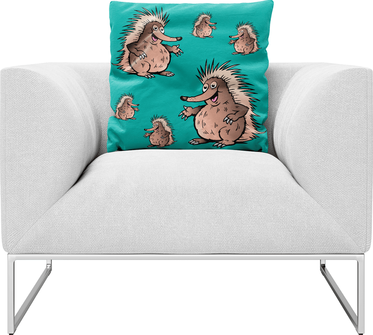 Spunky Echidna Pillows Cushions