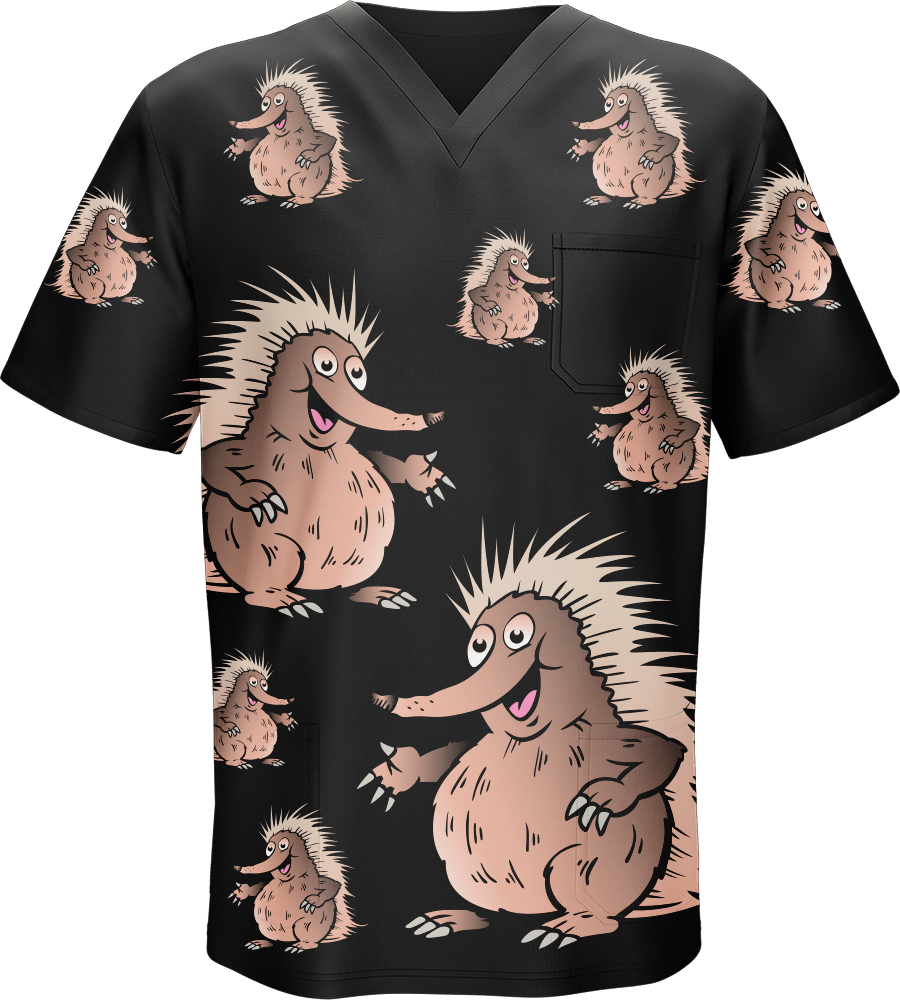 Spunky Echidna Scrubs