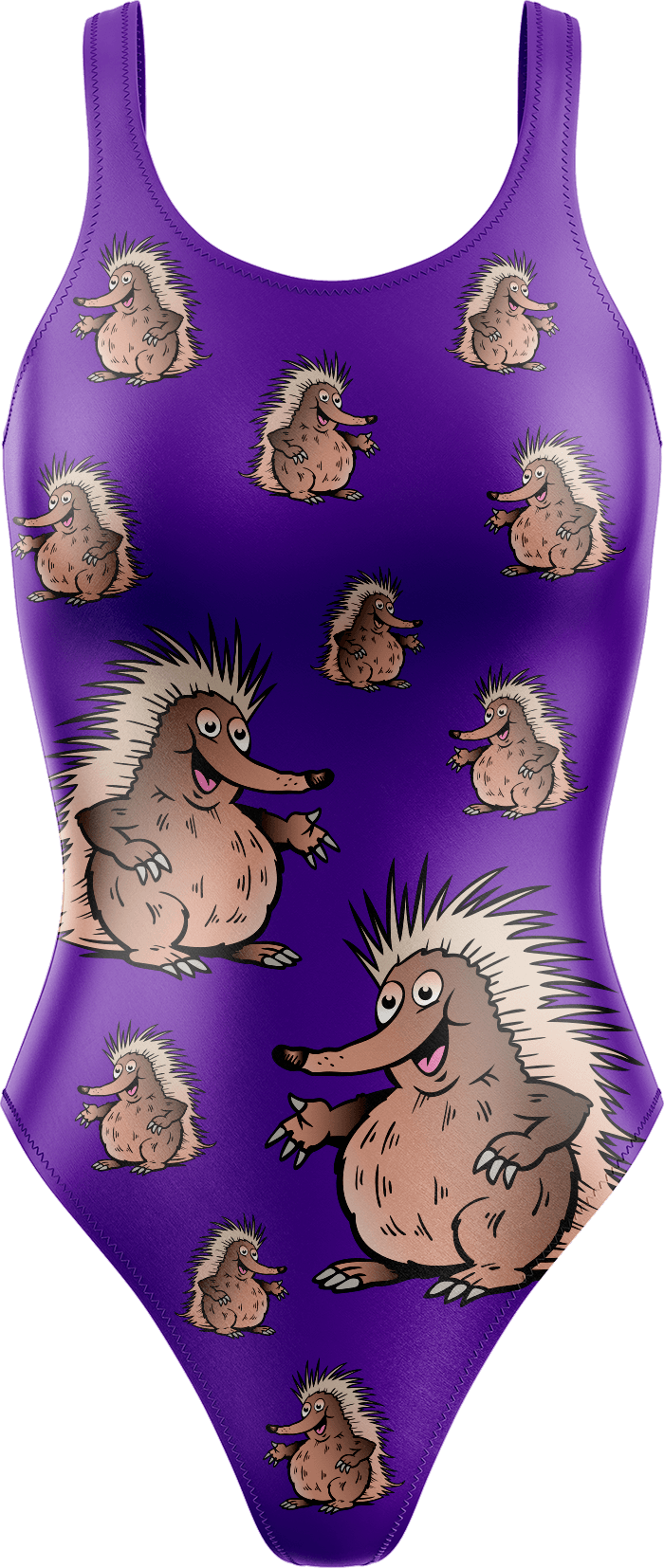 Spunky Echidna Swimsuits - fungear.com.au