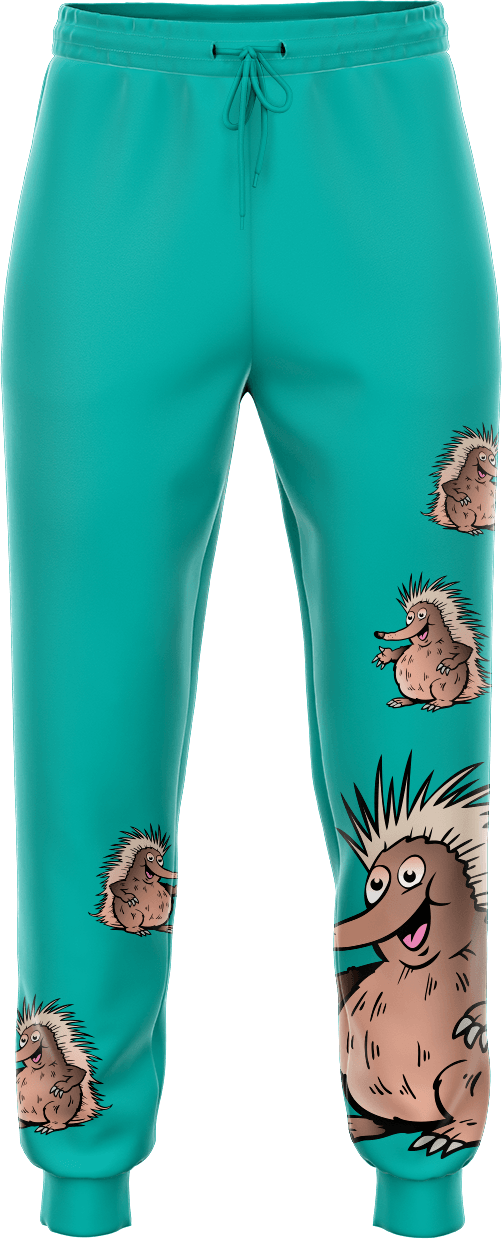 Spunky Echidna Tracky Dacks - fungear.com.au