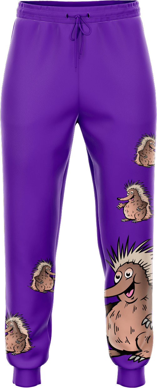 Spunky Echidna Tracky Dacks - fungear.com.au