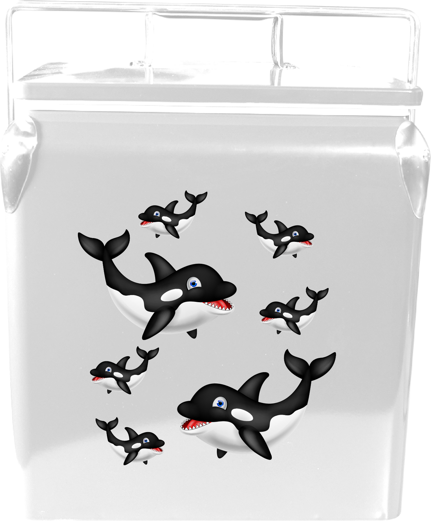 Orca Whale Cooler Box