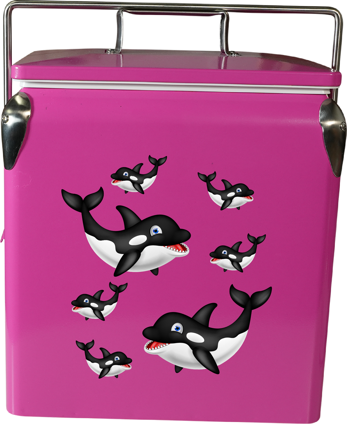 Orca Whale Cooler Box