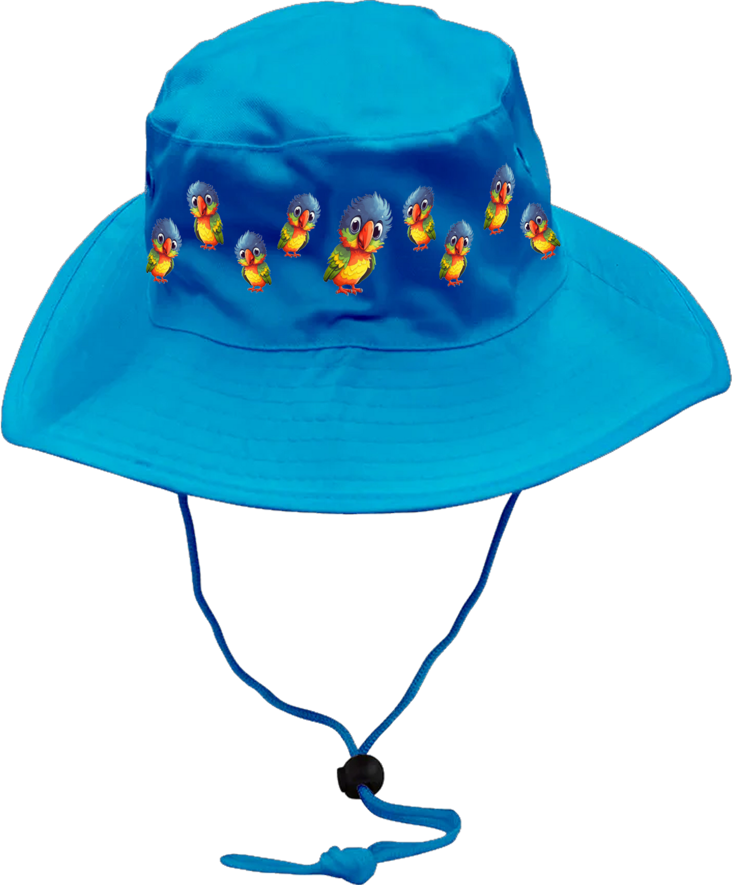 Rainbow Lorikeet  Wide Brim Hat