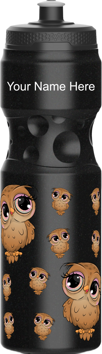 Owl Water Bottles