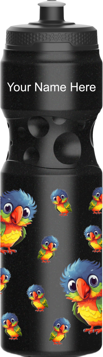 Rainbow Lorikeet Water Bottles