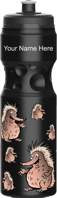 Spunky Echinda Water Bottle 1
