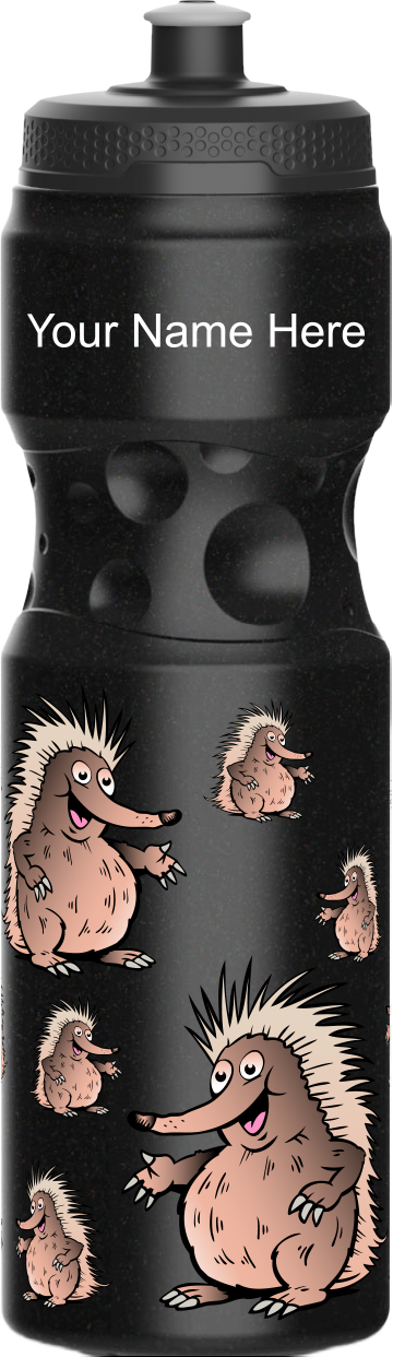 Spunky Echinda Water Bottle