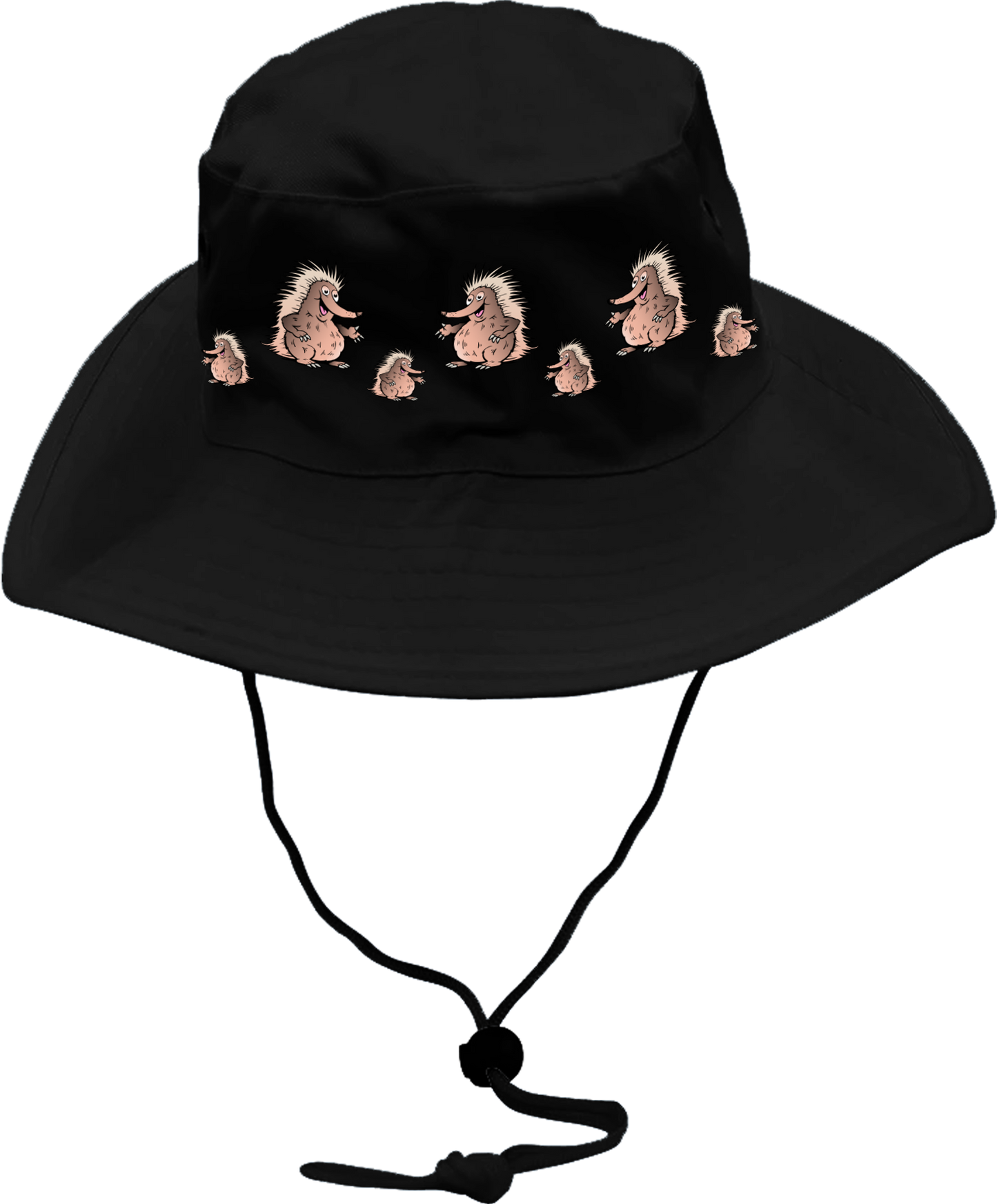 Spunky Echinda Wide Brim Hat