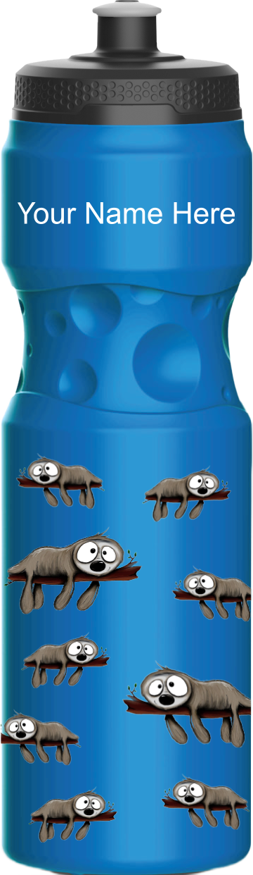 Snoozy Sloth Water Bottles