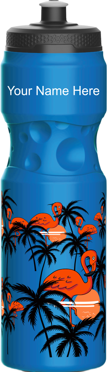 Miami Vice Water Bottles