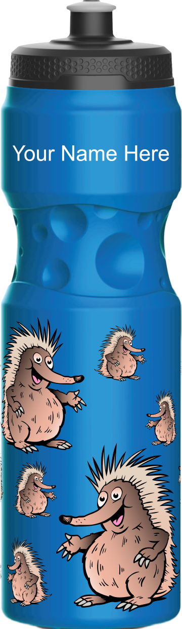 Spunky Echinda Water Bottle