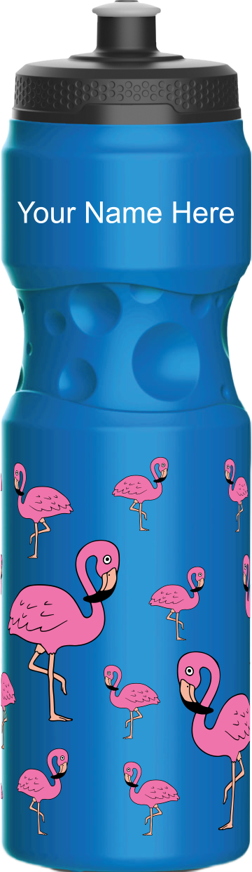 Flamingo Water Bottles