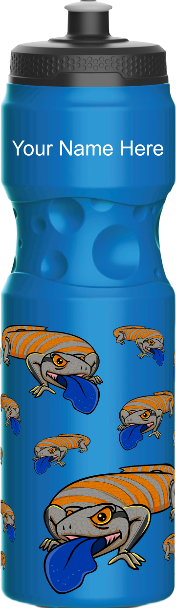 Bluey Lizards Water Bottles