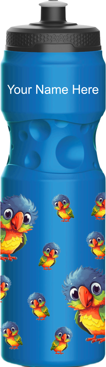Rainbow Lorikeet Water Bottles