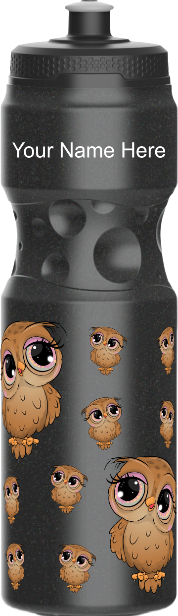 Owl Water Bottles