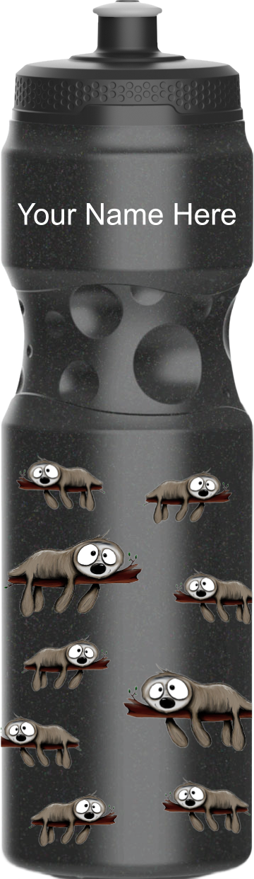 Snoozy Sloth Water Bottles