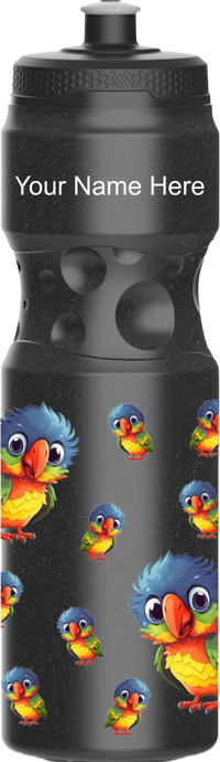 Rainbow Lorikeet Water Bottles 3