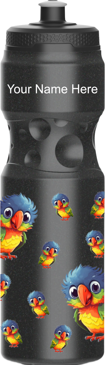 Rainbow Lorikeet Water Bottles