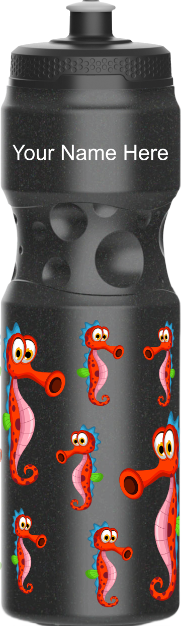 Sassy Seahorse Water Bottles