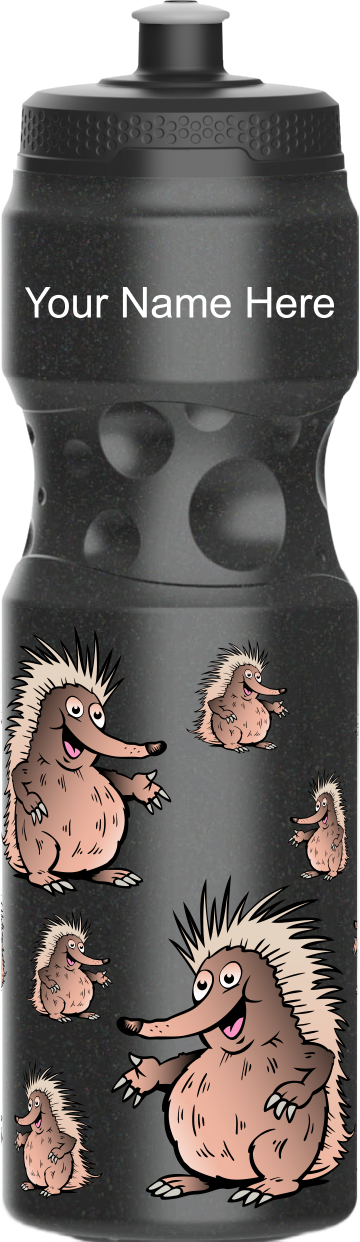 Spunky Echinda Water Bottle
