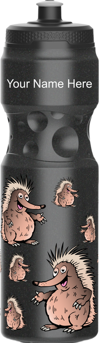 Spunky Echinda Water Bottle 3