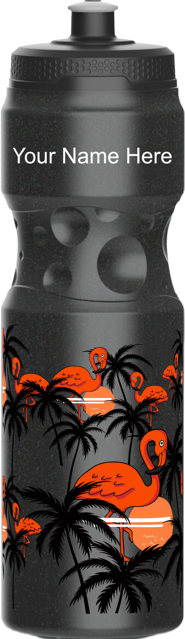 Miami Vice Water Bottles