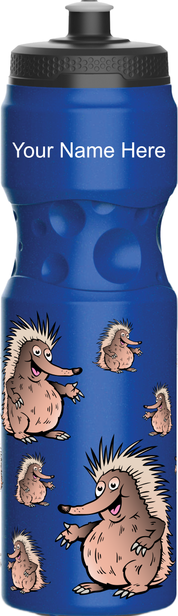 Spunky Echinda Water Bottle