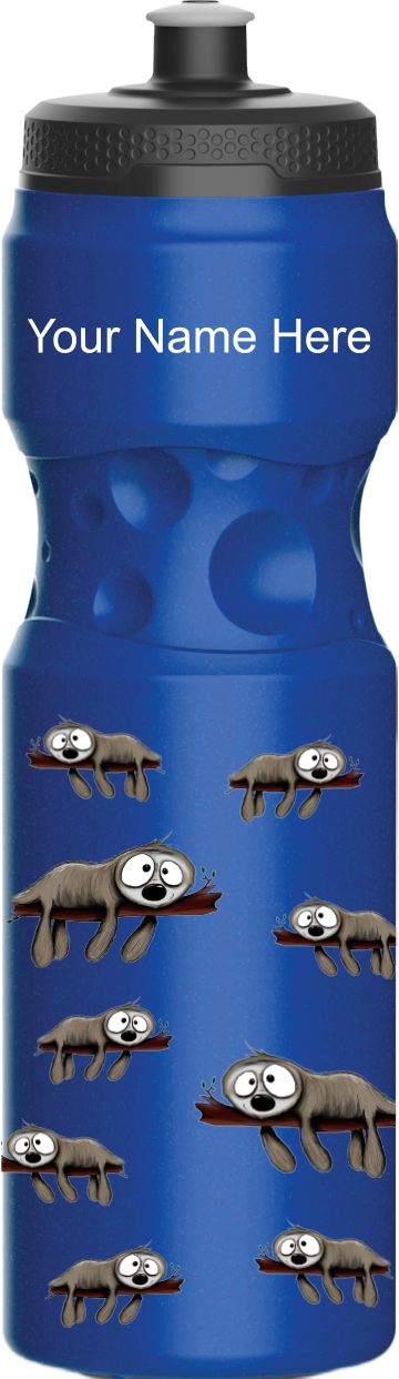Snoozy Sloth Water Bottles