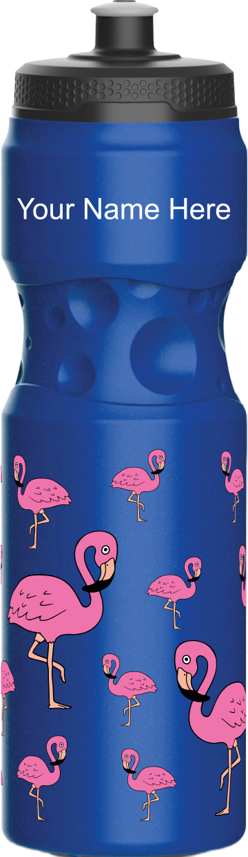 Flamingo Water Bottles