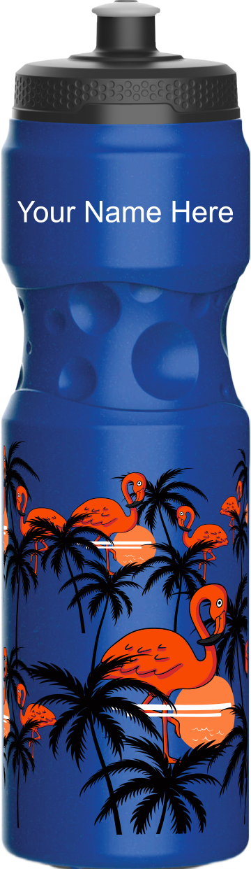 Miami Vice Water Bottles