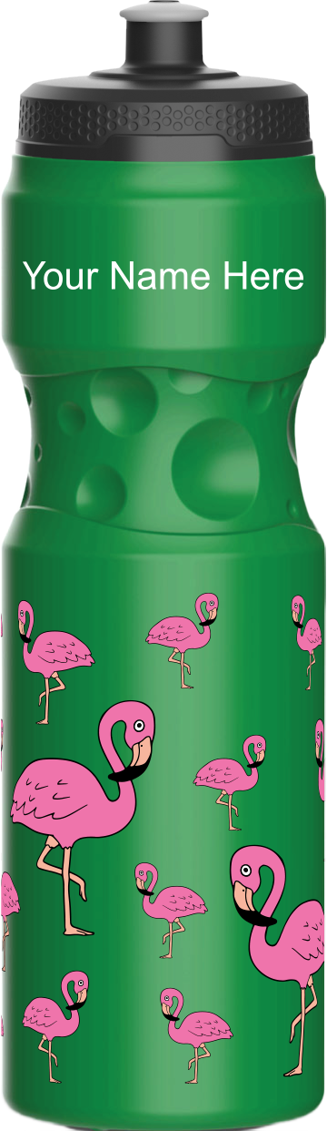 Flamingo Water Bottles