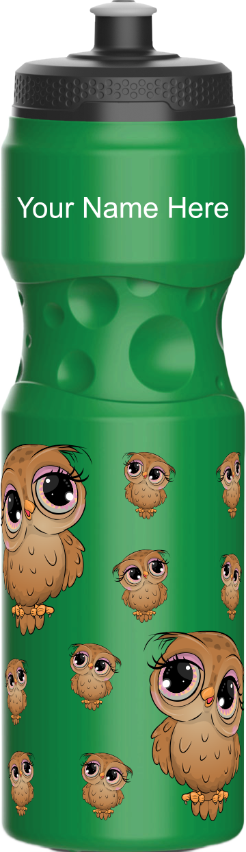 Owl Water Bottles