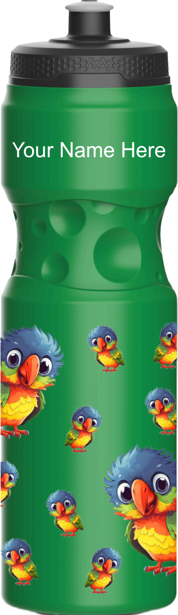 Rainbow Lorikeet Water Bottles
