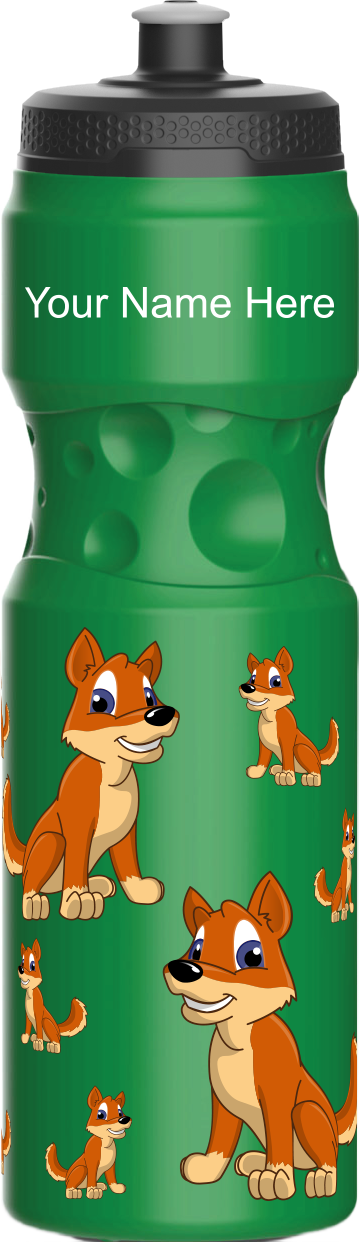 Dizzie Dingo Water Bottle