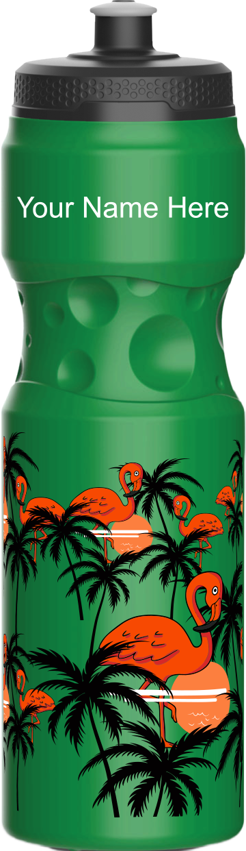 Miami Vice Water Bottles