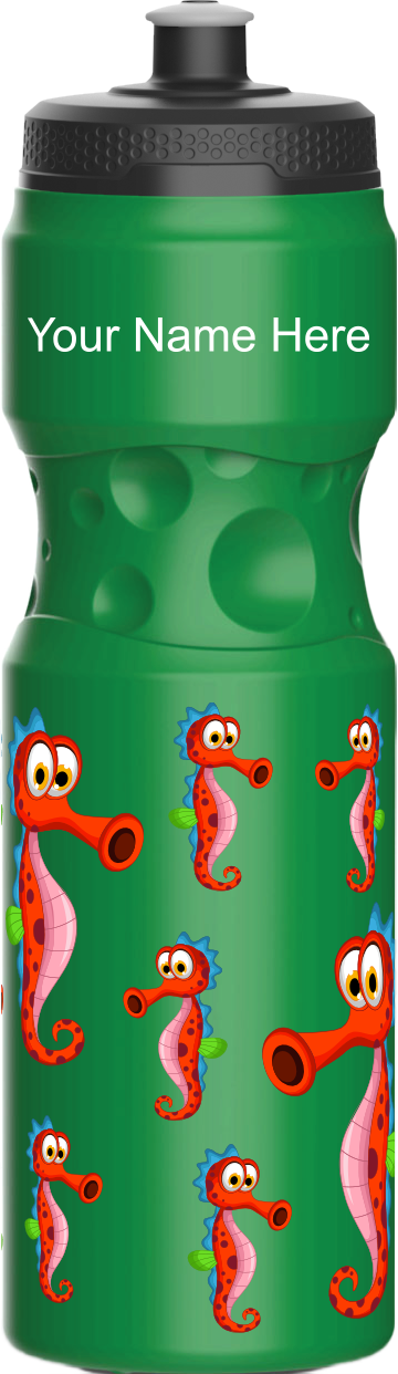 Sassy Seahorse Water Bottles
