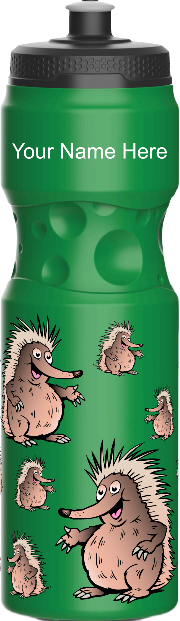 Spunky Echinda Water Bottle