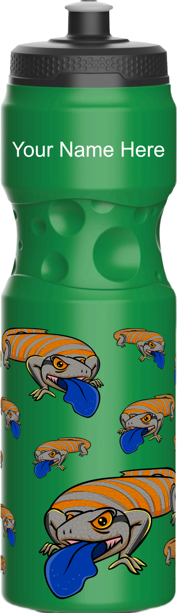Bluey Lizards Water Bottles