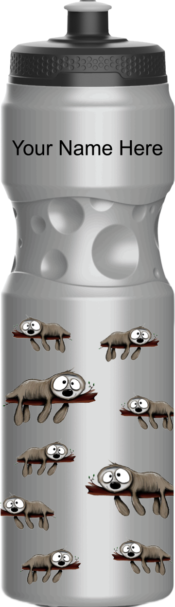 Snoozy Sloth Water Bottles