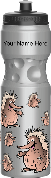 Spunky Echinda Water Bottle 6
