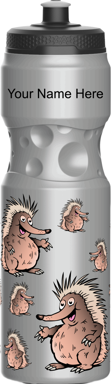 Spunky Echinda Water Bottle