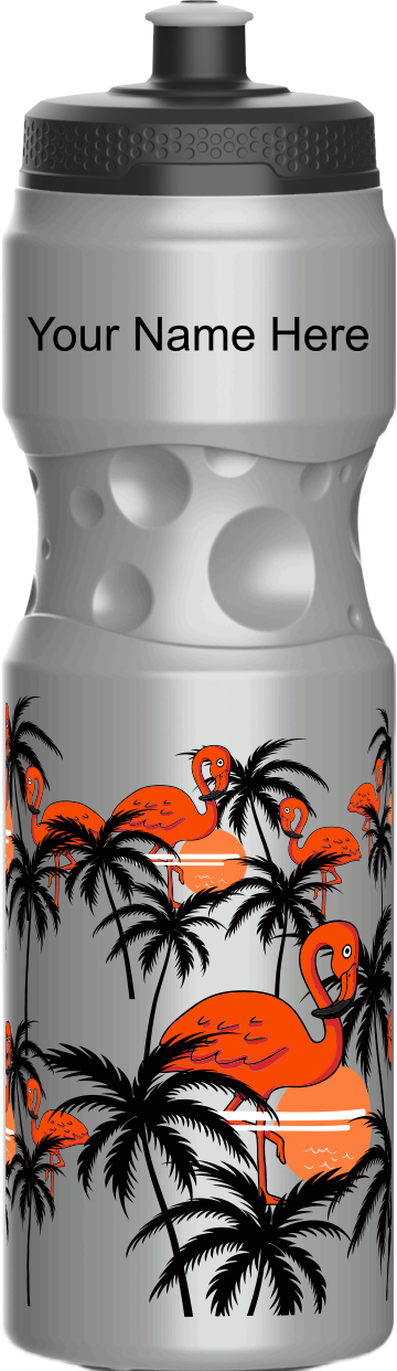 Miami Vice Water Bottles