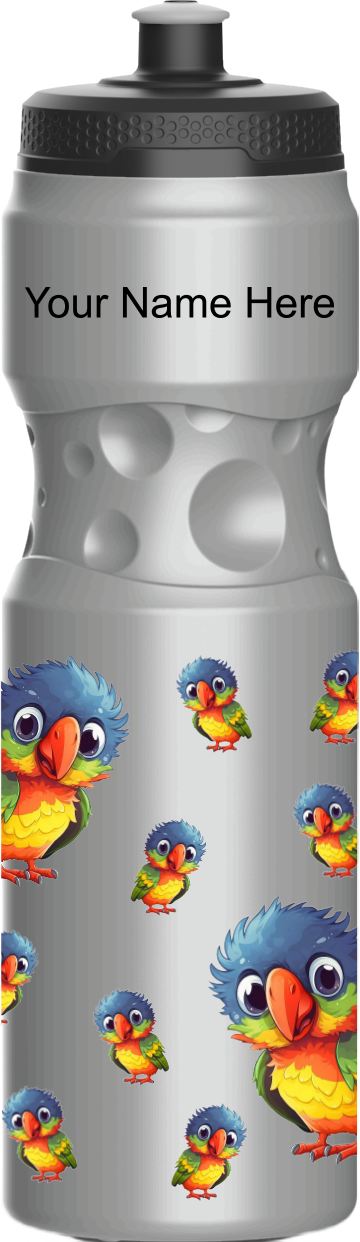 Rainbow Lorikeet Water Bottles